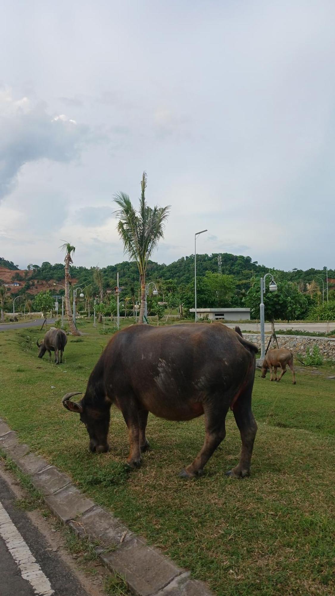 Roby Homestay Kuta  Exterior foto